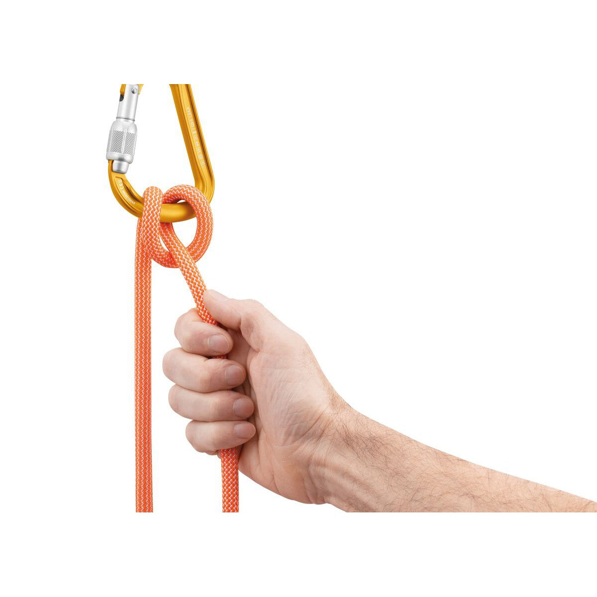 Attache Screwlock Carabiner