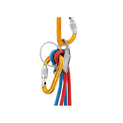 Attache Scewlock Carabiner