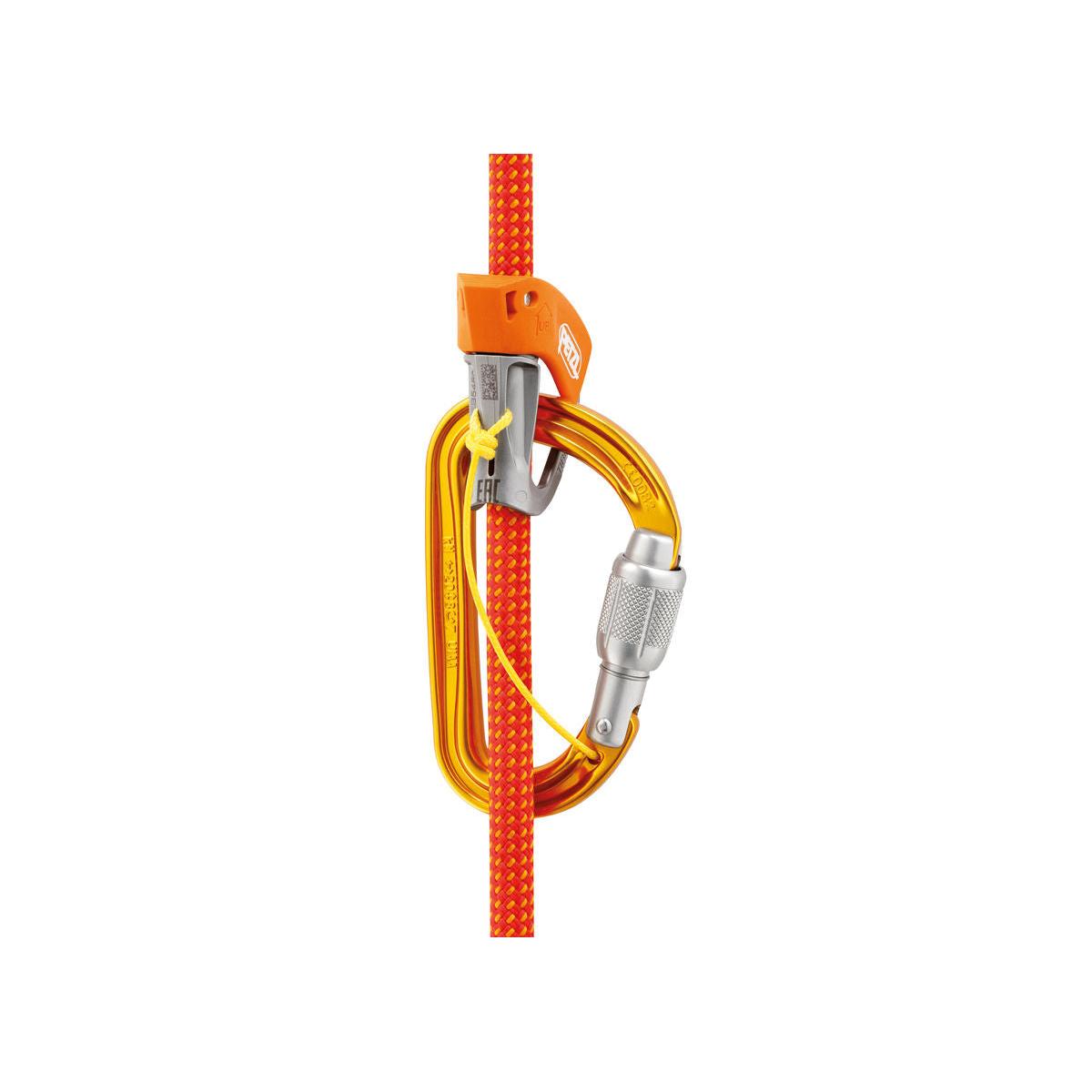 Sm'D Screw-Lock Carabiner