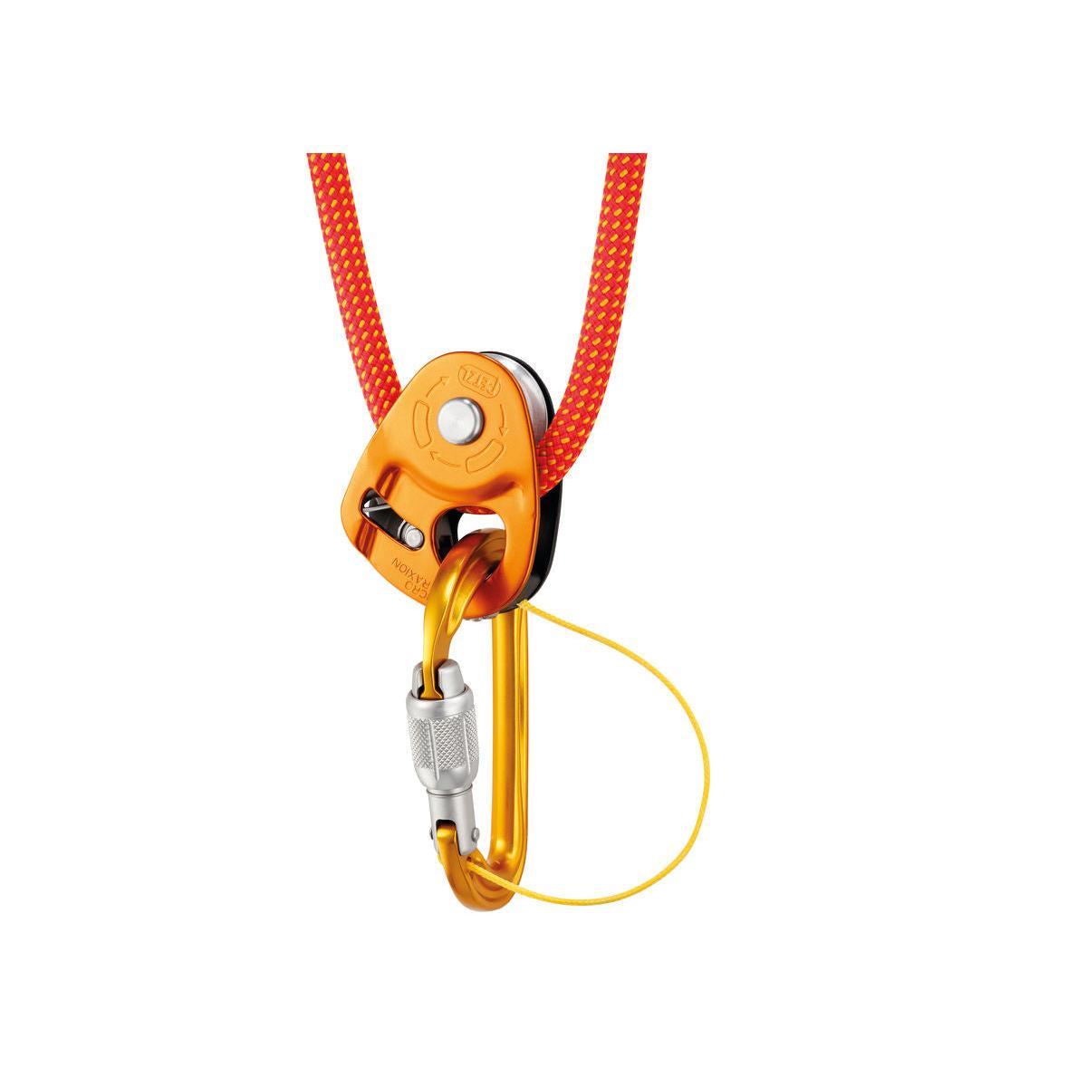 Sm'D Screw-Lock Carabiner