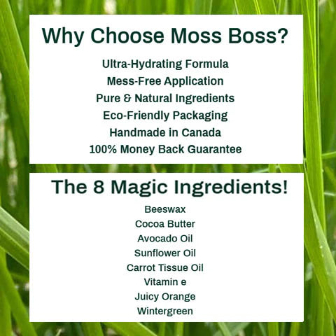 Moss Boss Foot Balm 45g