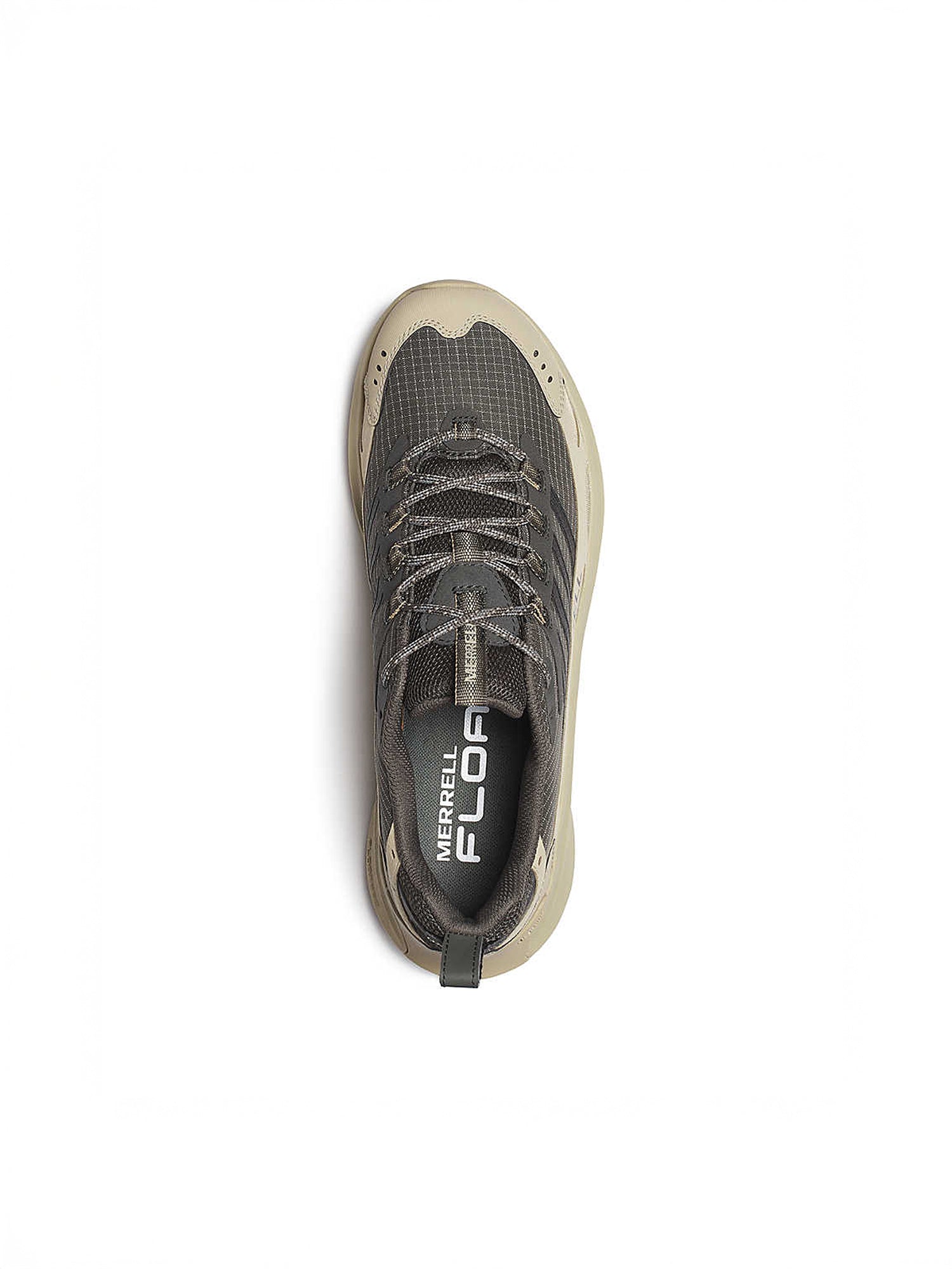 color:beluga / palm