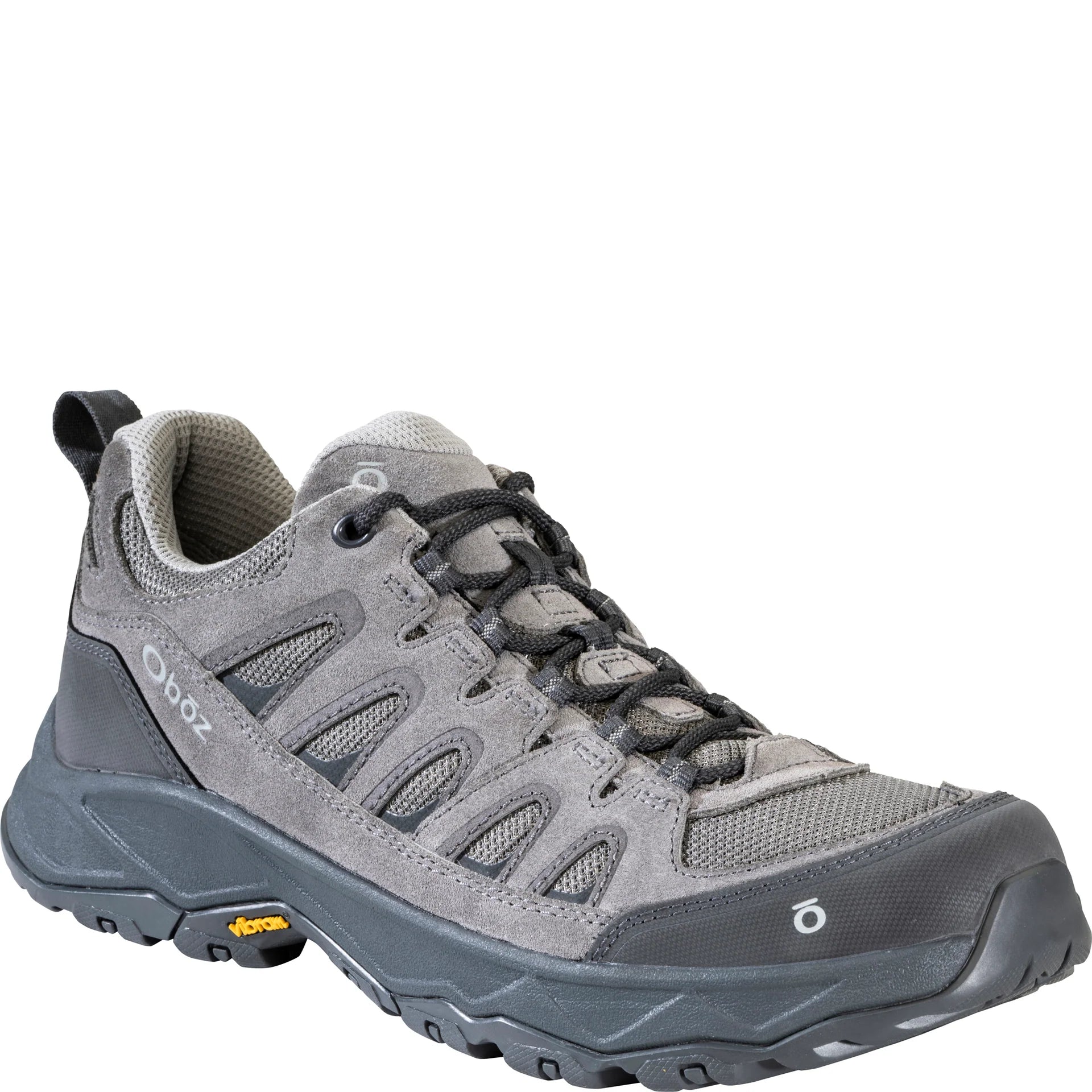 Men's Sawtooth Ascent Low Hiking Shoes