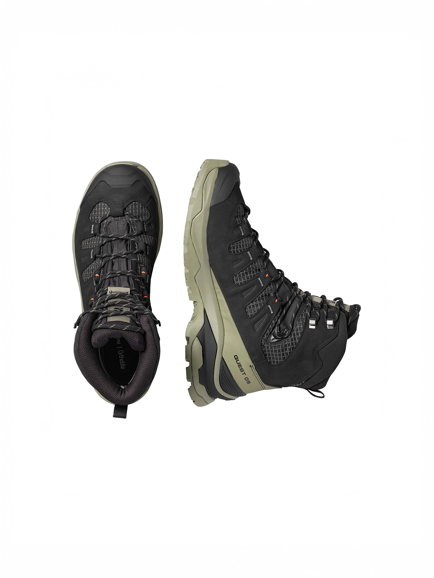 color:black / deep lichen green