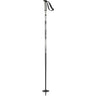 Steep Ski Poles