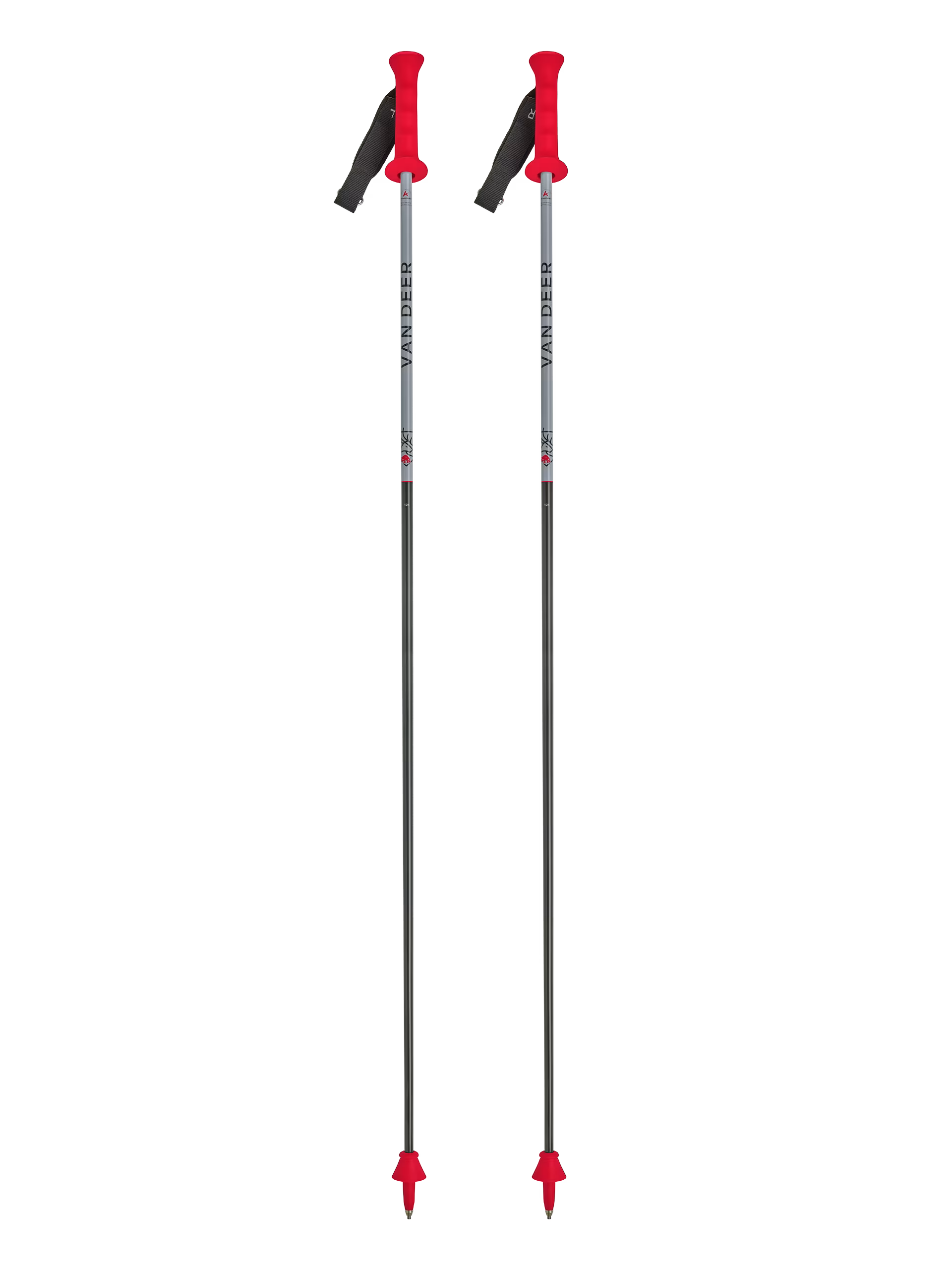 Race Carbon GS Poles