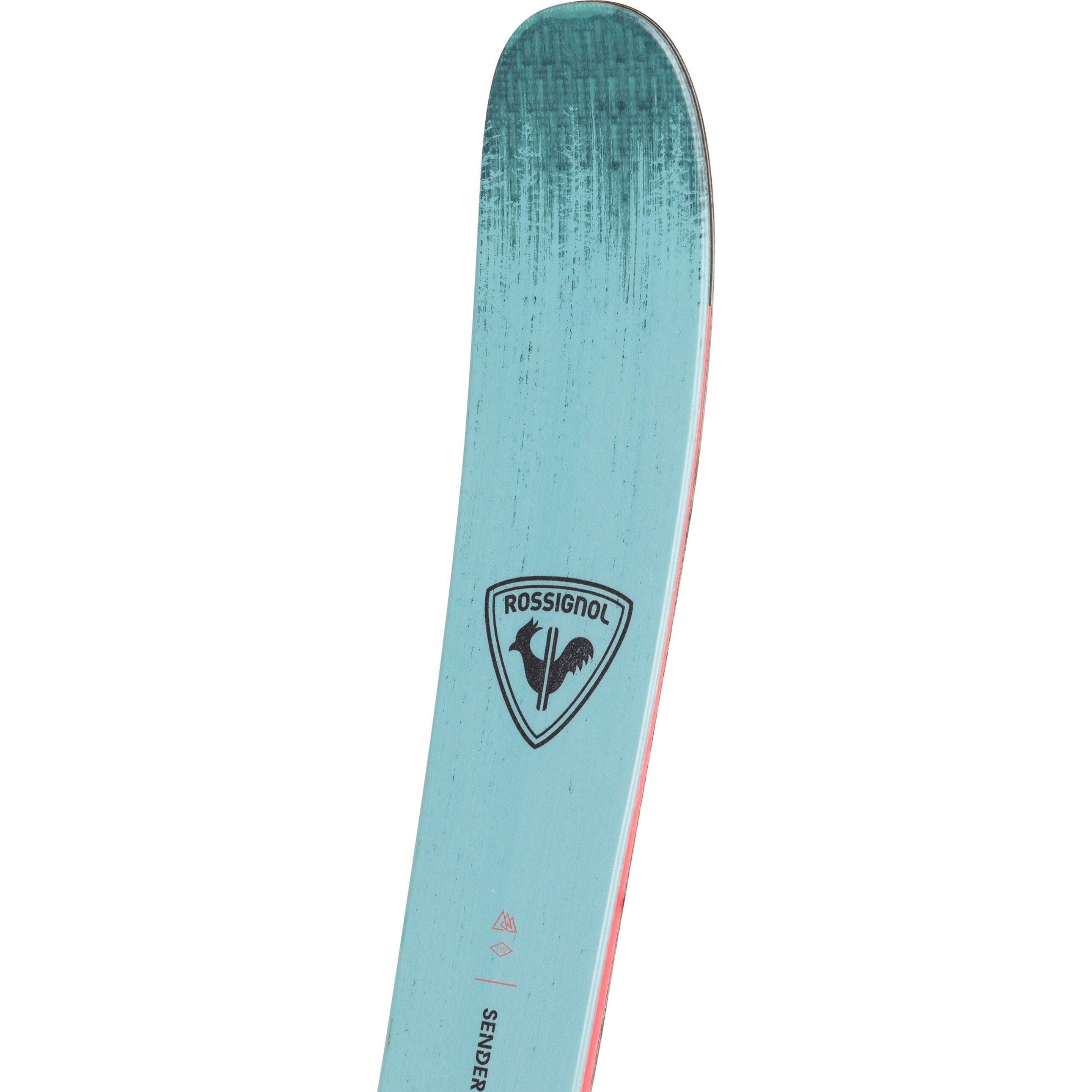 Sender Free 110 Skis 2026
