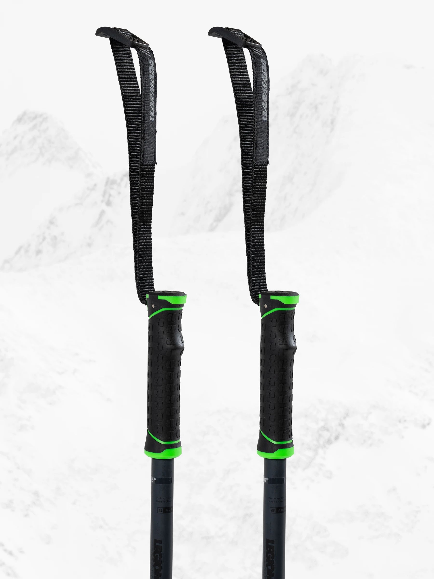 Legion Ski Poles