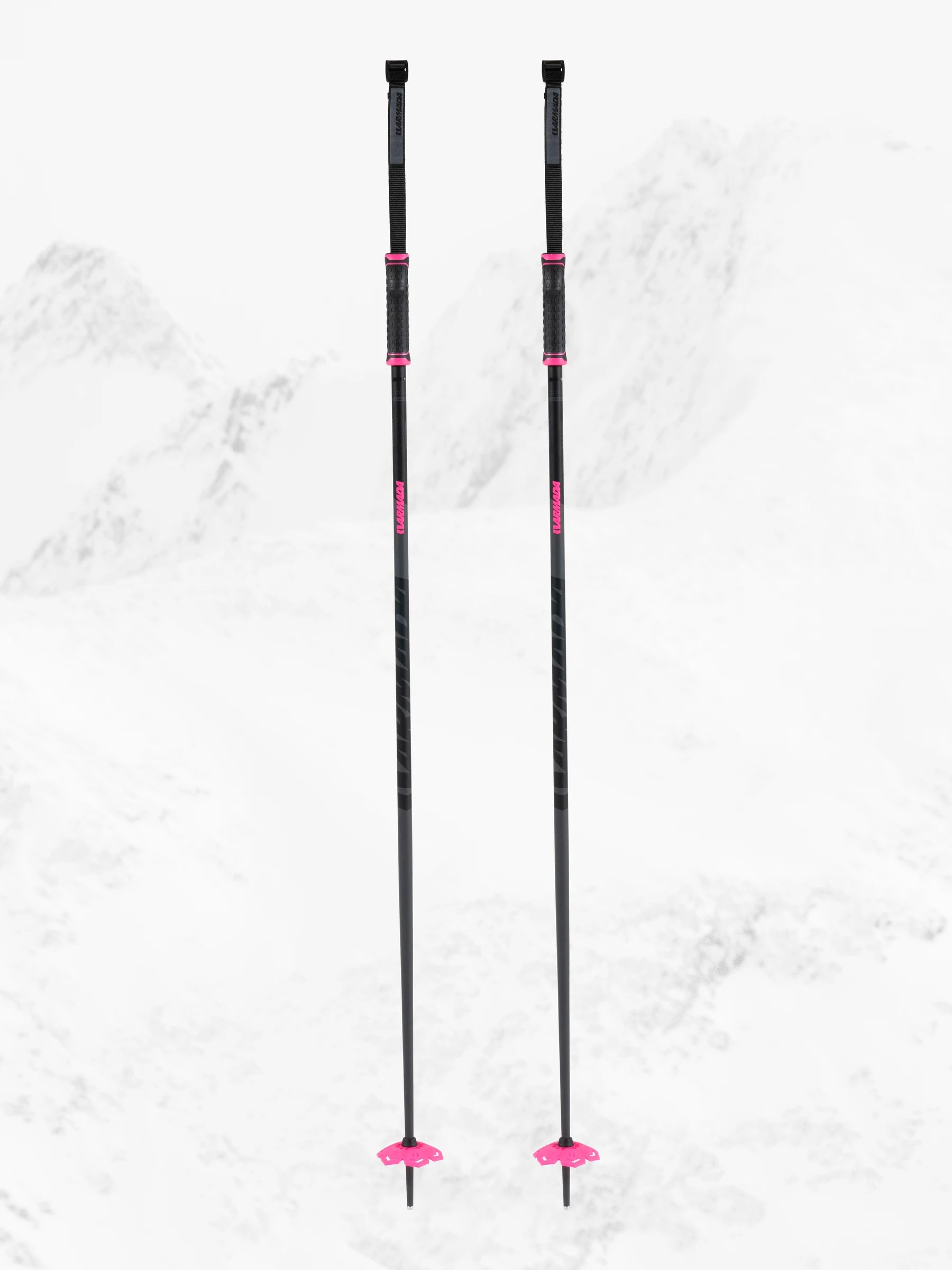 Legion Ski Poles