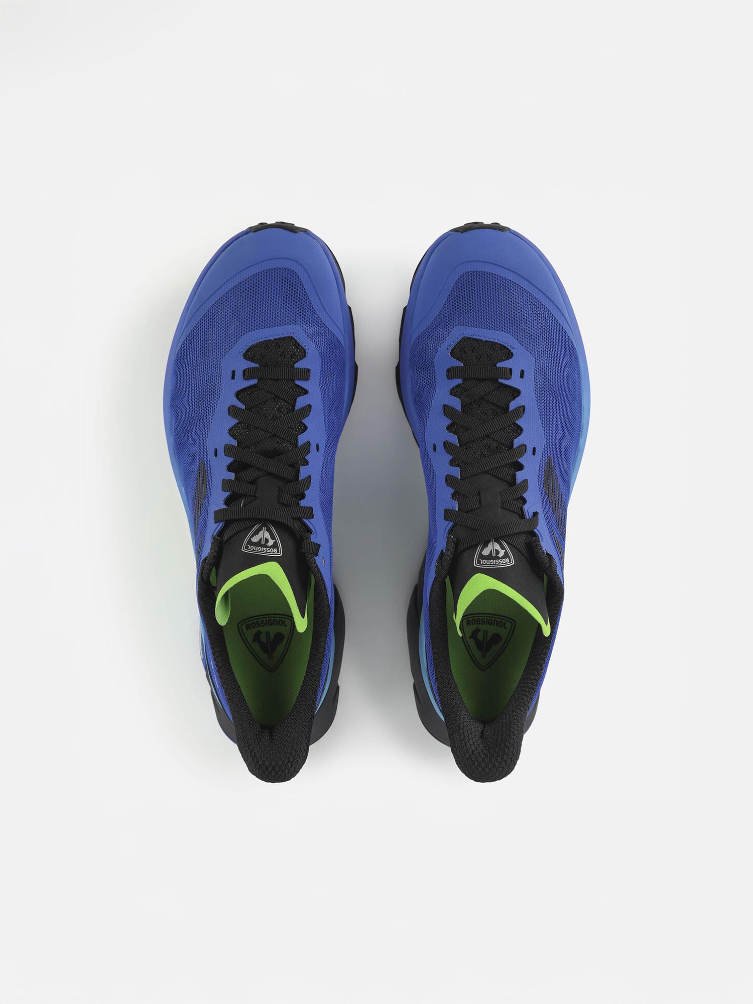 color:dazzle blue