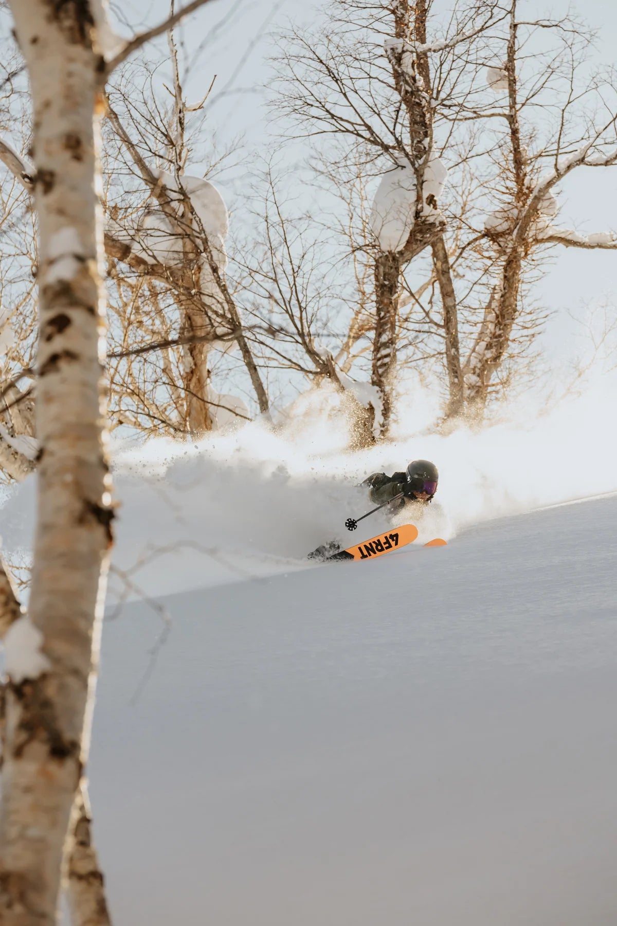 Renegade Skis 2027 product image