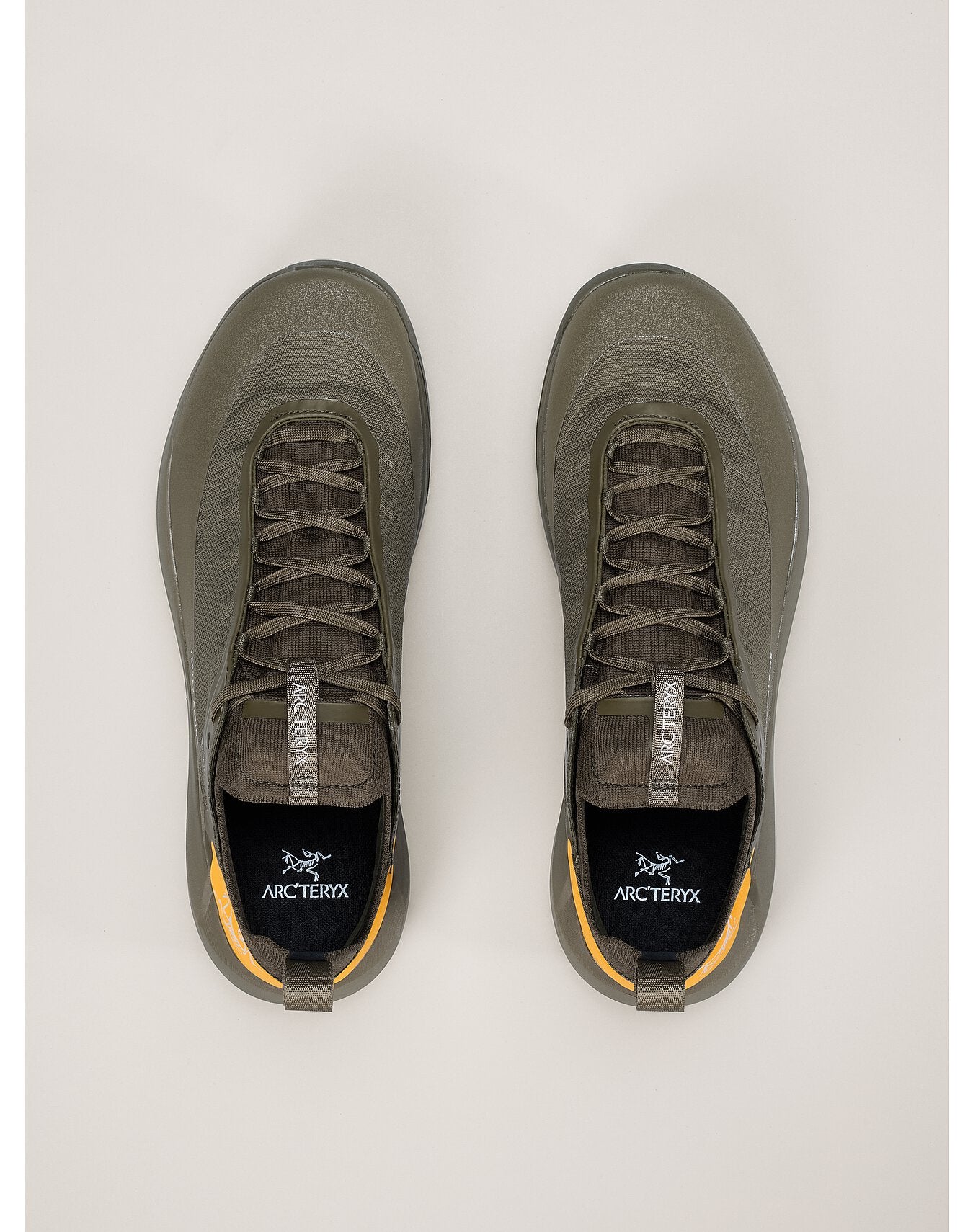 Arc'teryx Men's Vertex Alpine GTX Shoes