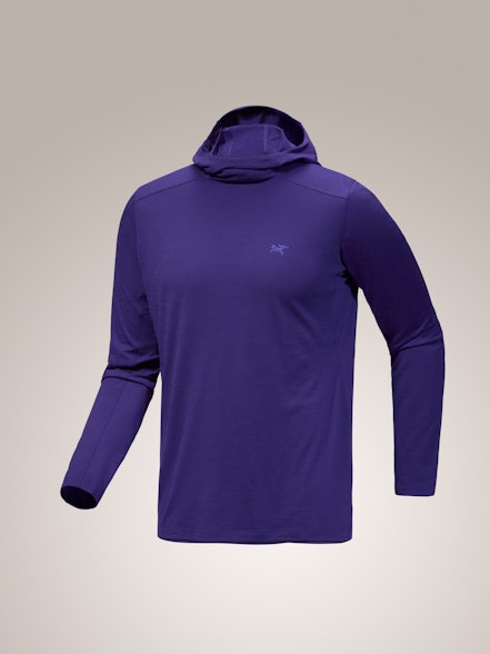 Men's Ionia Merino Wool Hoody