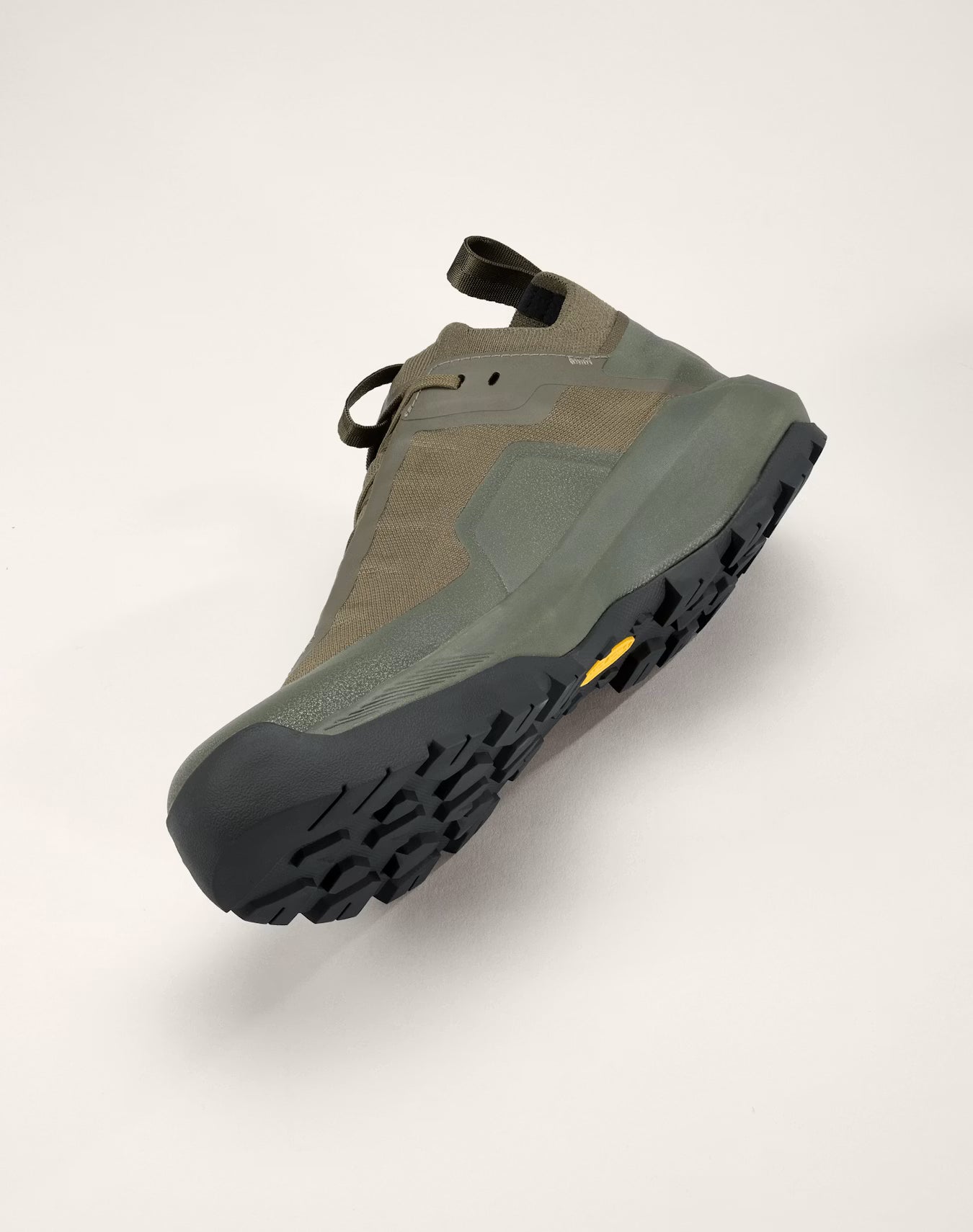 Men's Vertex Alpine GTX Shoes (Past Season)