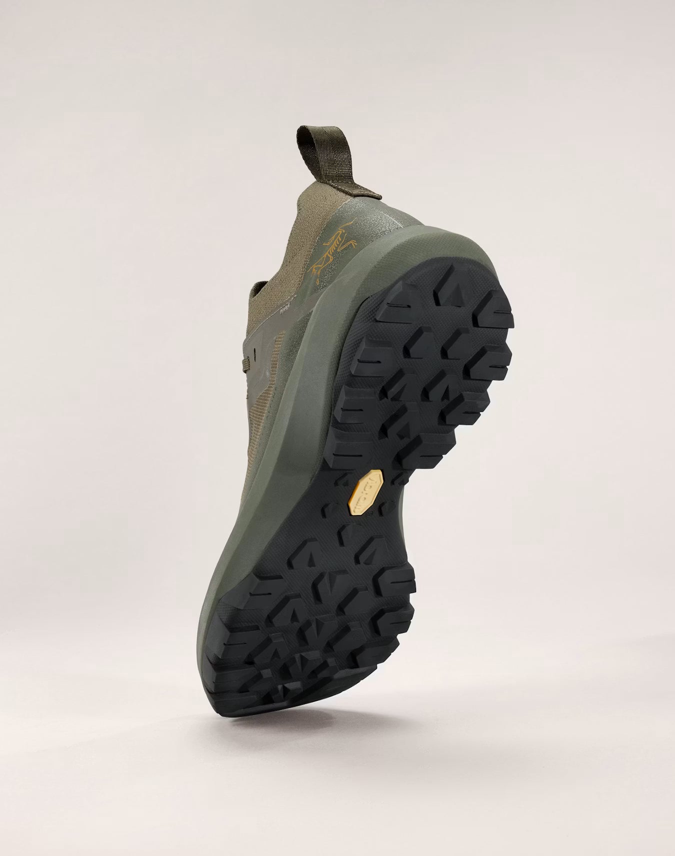 Men's Vertex Alpine GTX Shoes (Past Season)