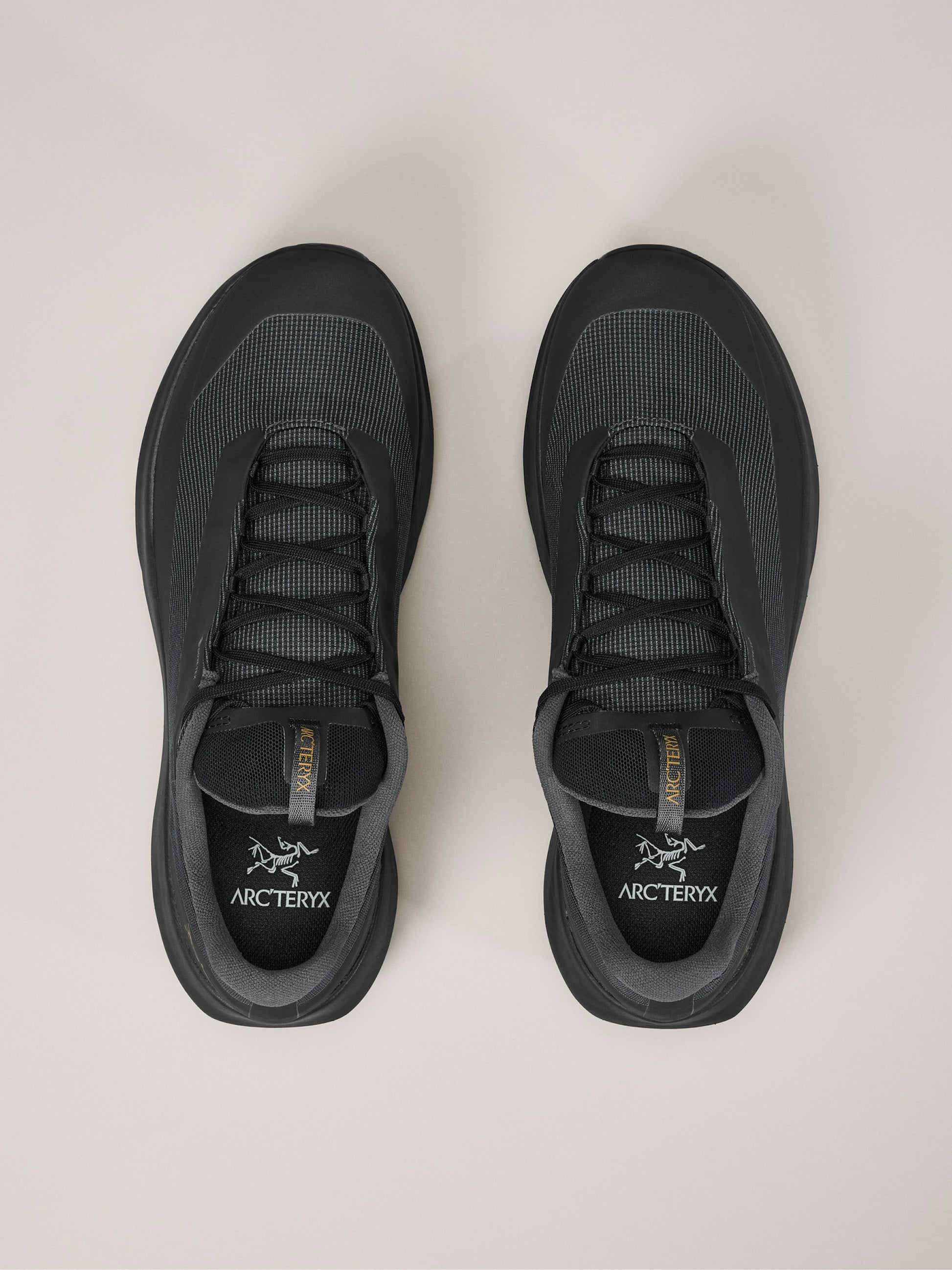 Men's Norvan LD 4 GTX Running Shoes