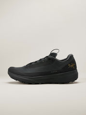 Men's Norvan LD 4 GTX Running Shoes
