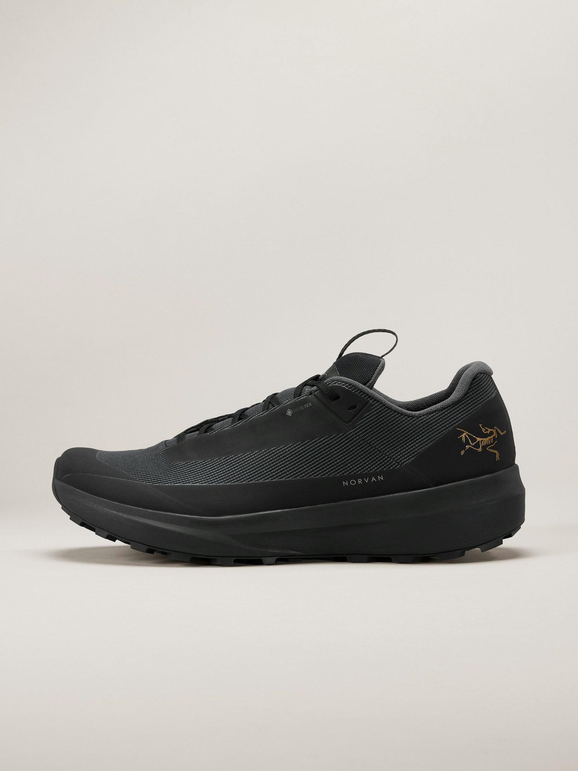 Men's Norvan LD 4 GTX Running Shoes