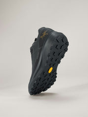 Men's Norvan LD 4 GTX Running Shoes