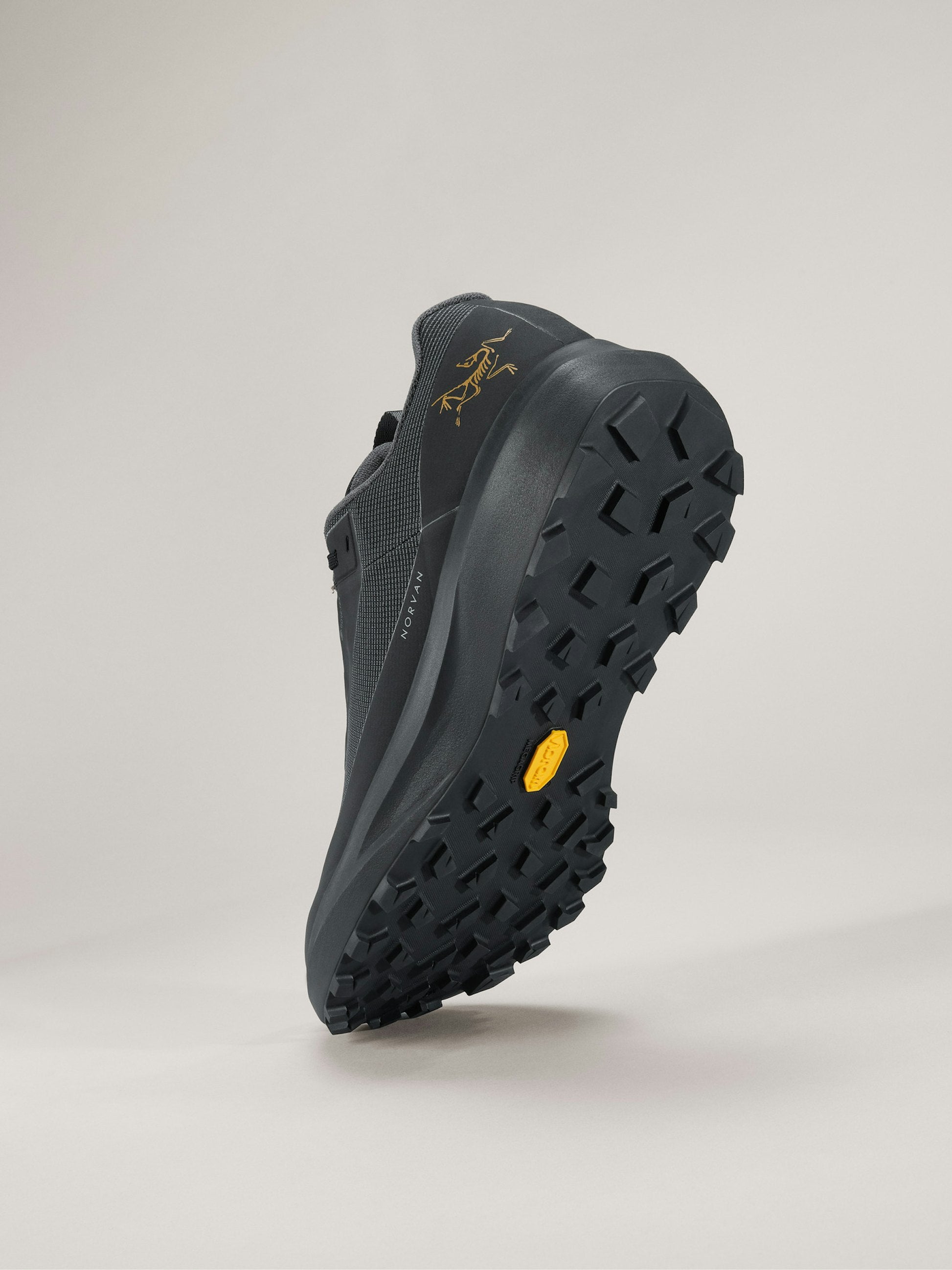 Men's Norvan LD 4 GTX Running Shoes