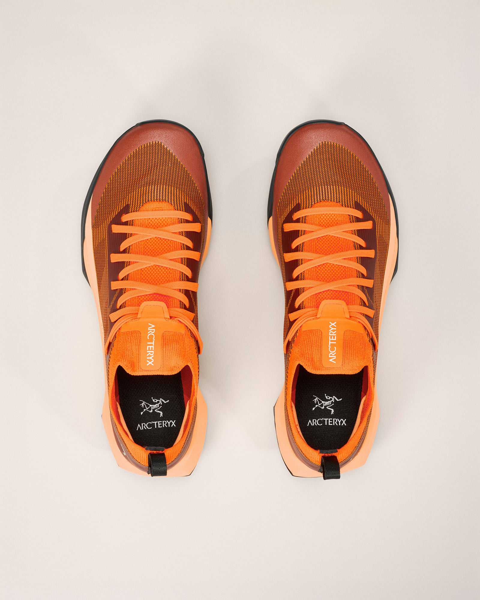 color:verve / luminary