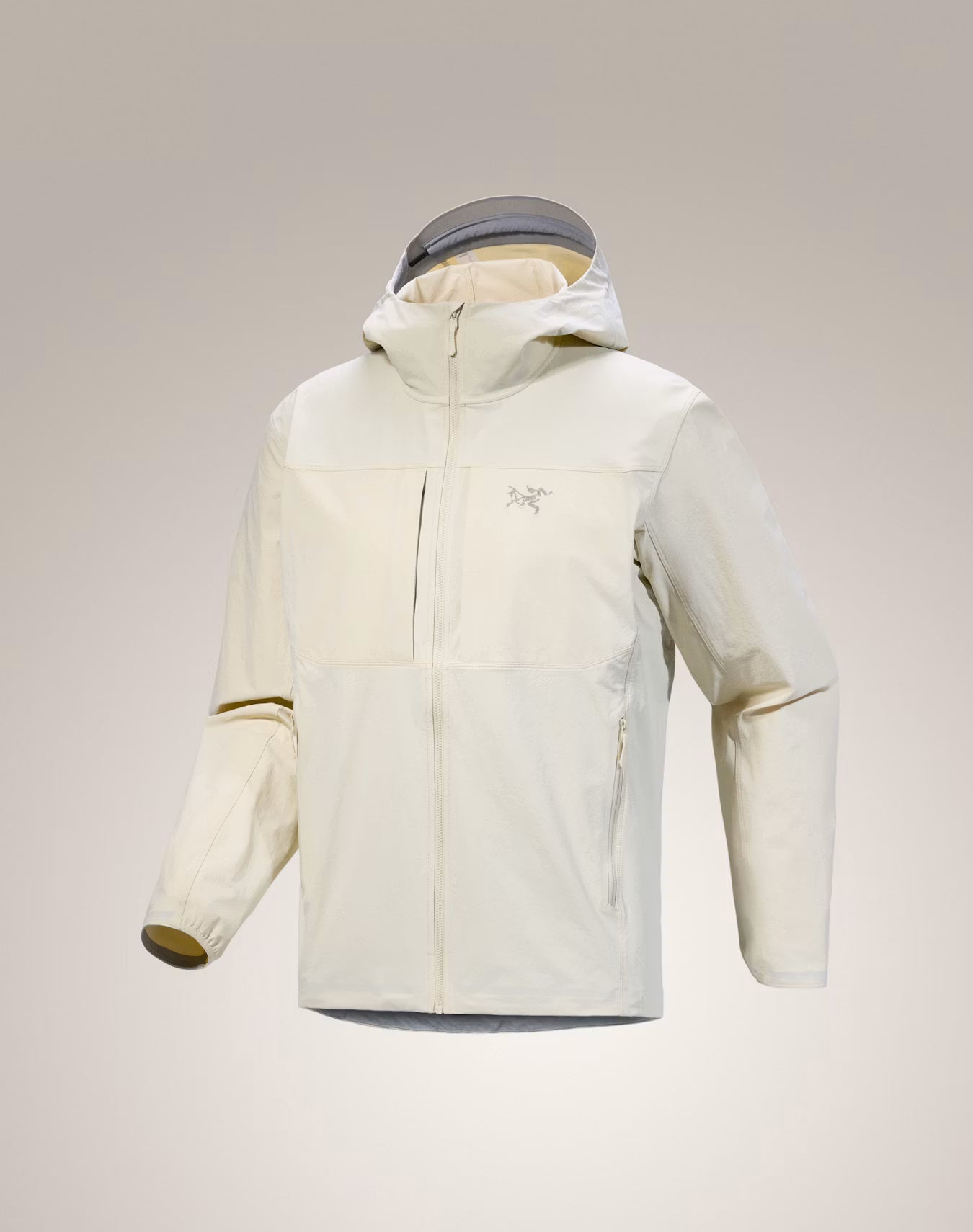 Men's Gamma Hoody