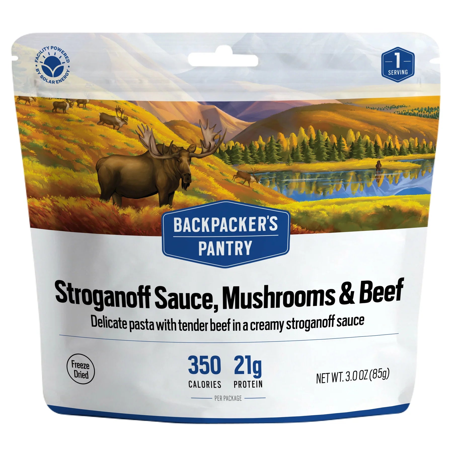 Stroganoff Sauce, Mushrooms, and Beef