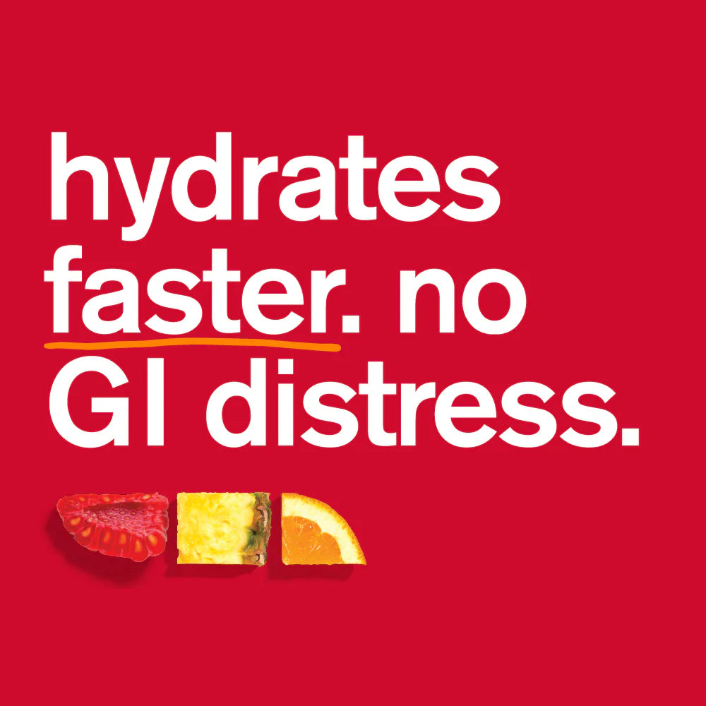 Hydration Sport Drink Mix 440g