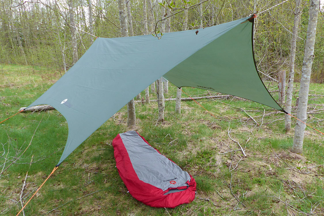 Wingman Tarp