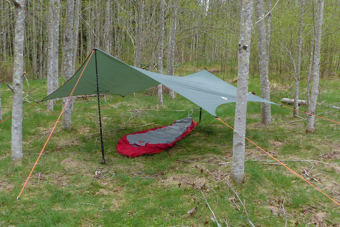 Wingman Tarp