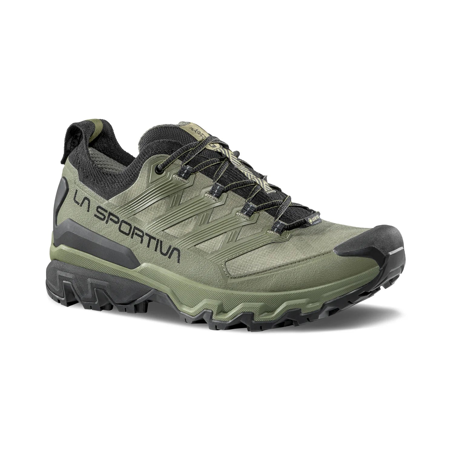 Men's Ultra Raptor 3 GTX Shoes