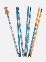 Avalanche Probes