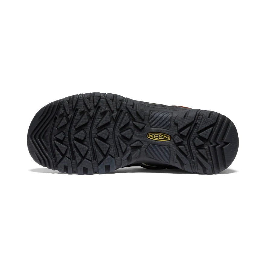 Men's Targhee IV Waterproof Hiking Shoes
