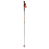 Ski Poles