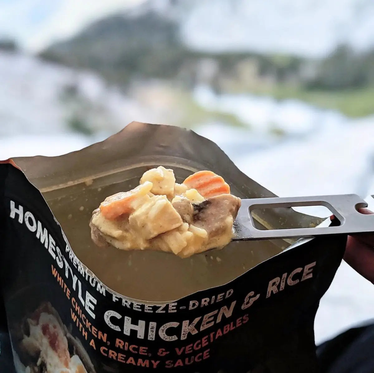 Homestyle Chicken & Rice