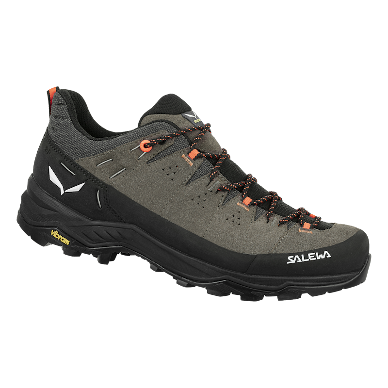 Men's Alp Trainer 2 Hiking Shoes