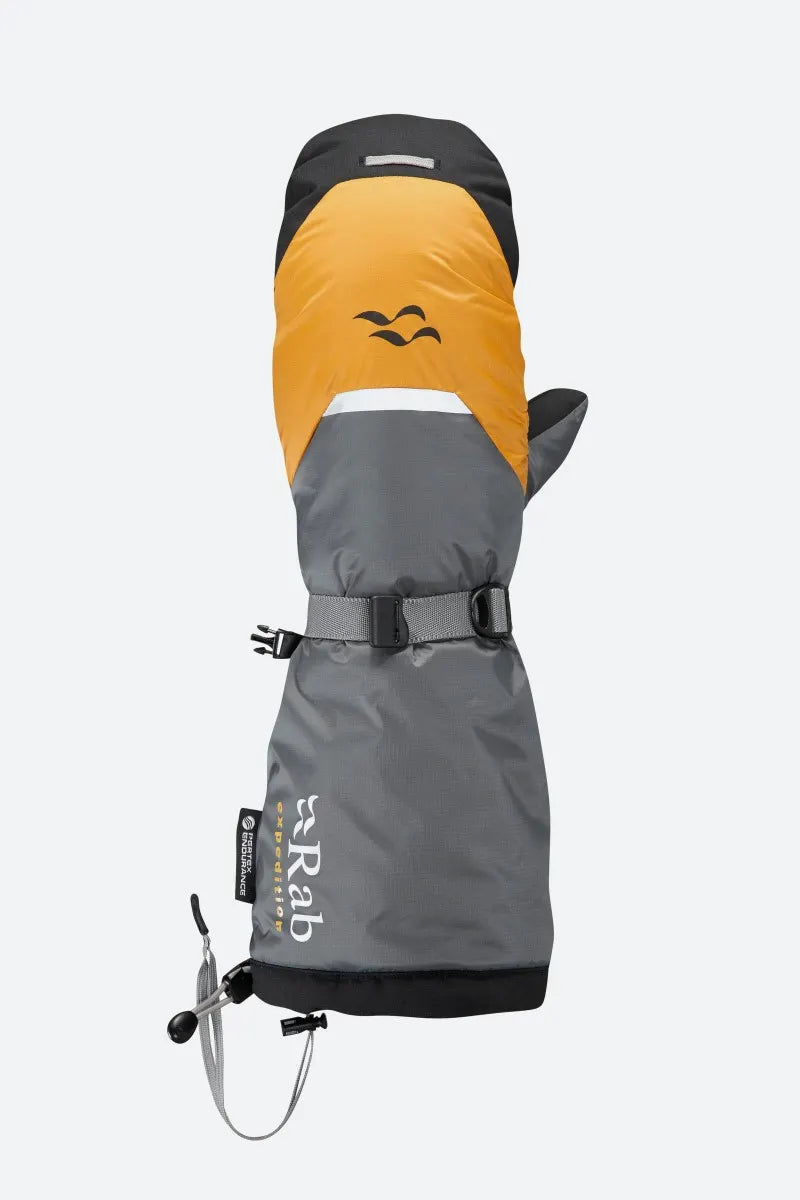 Expedition 8000 Down Mitts product image