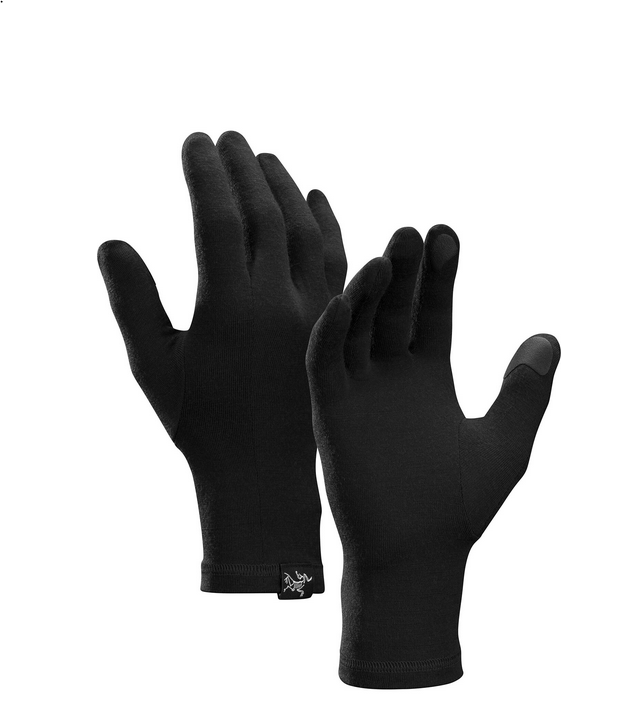 Arc'teryx Men's Gothic Glove