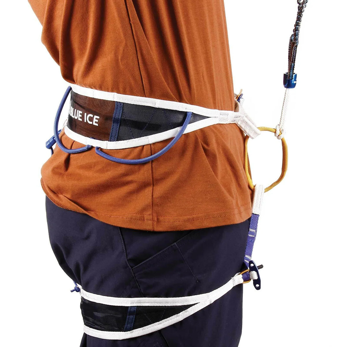 Hydra Leash product image