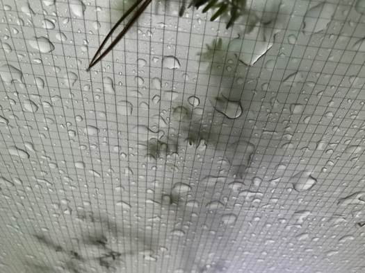 Wingman Tarp