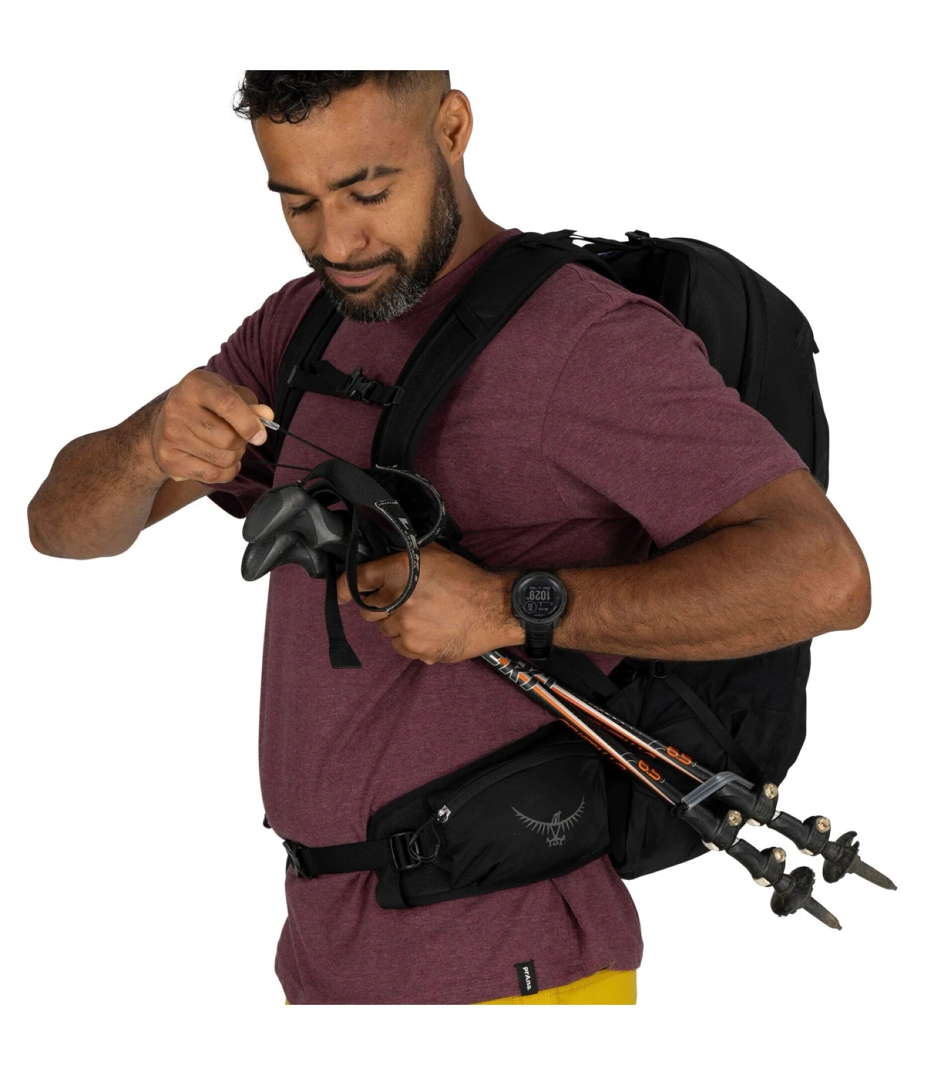 Talon 22 Pack