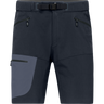 Men's Falketind Flex1 Light Shorts