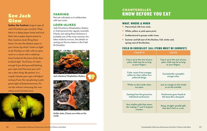 How to Forage for Mushrooms without Dying