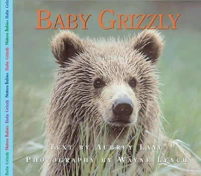 Baby Grizzly