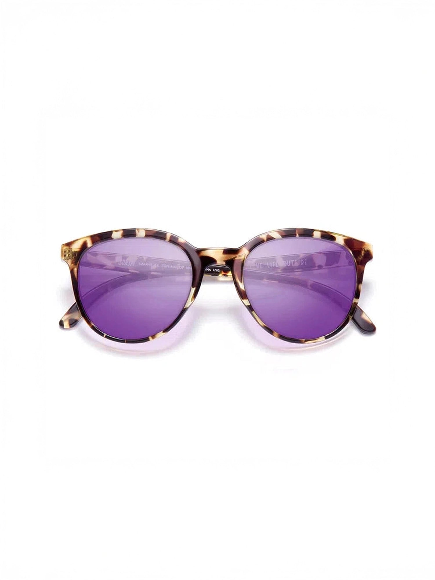 color:tortoise purple