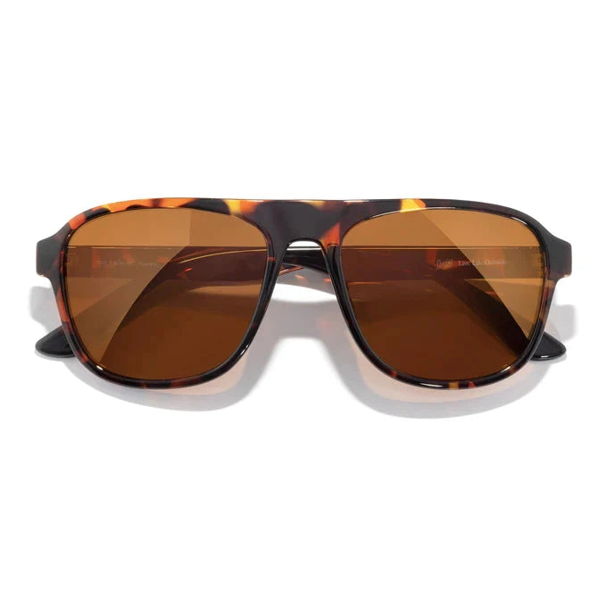 Shoreline Sunglasses