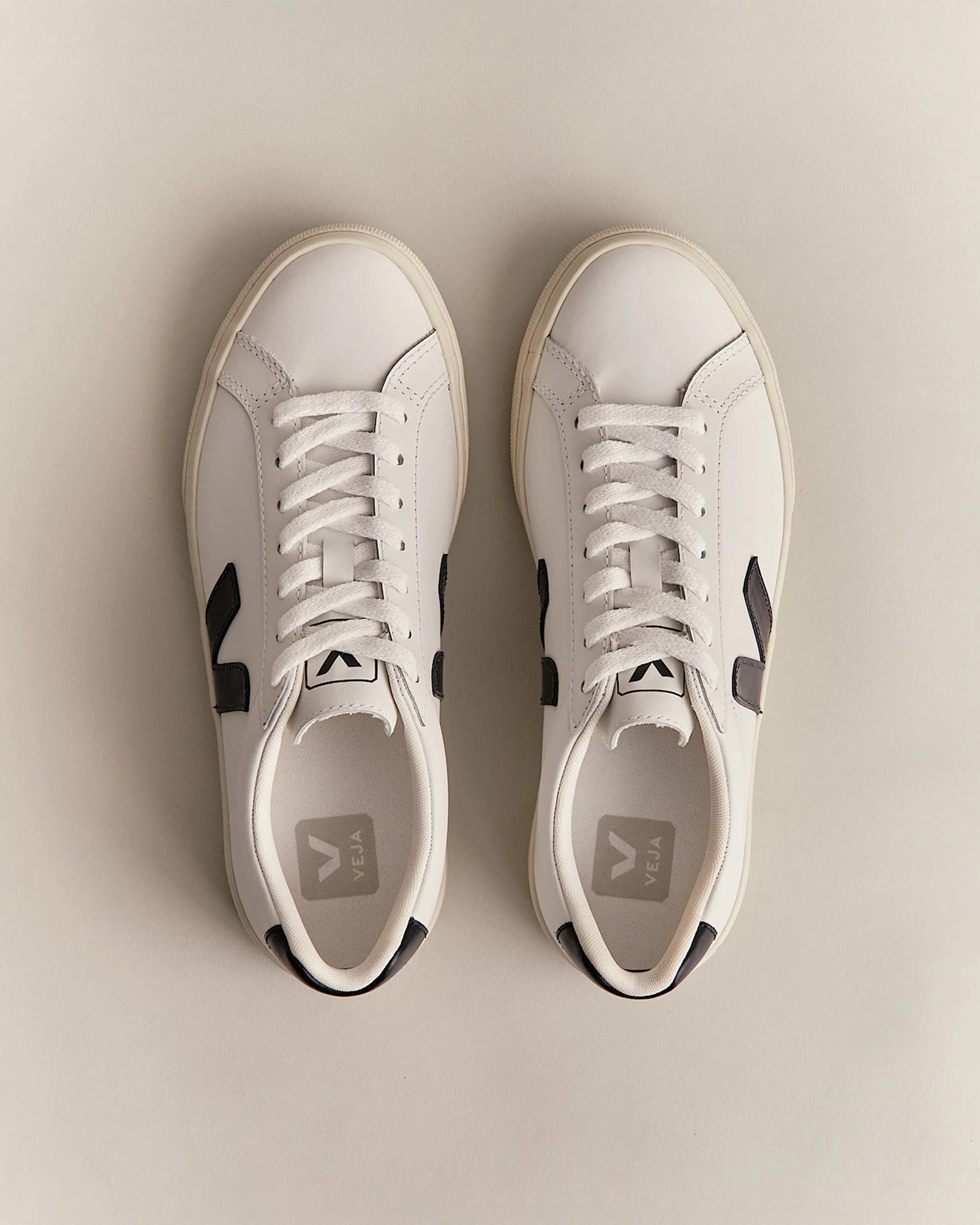 color:white / black