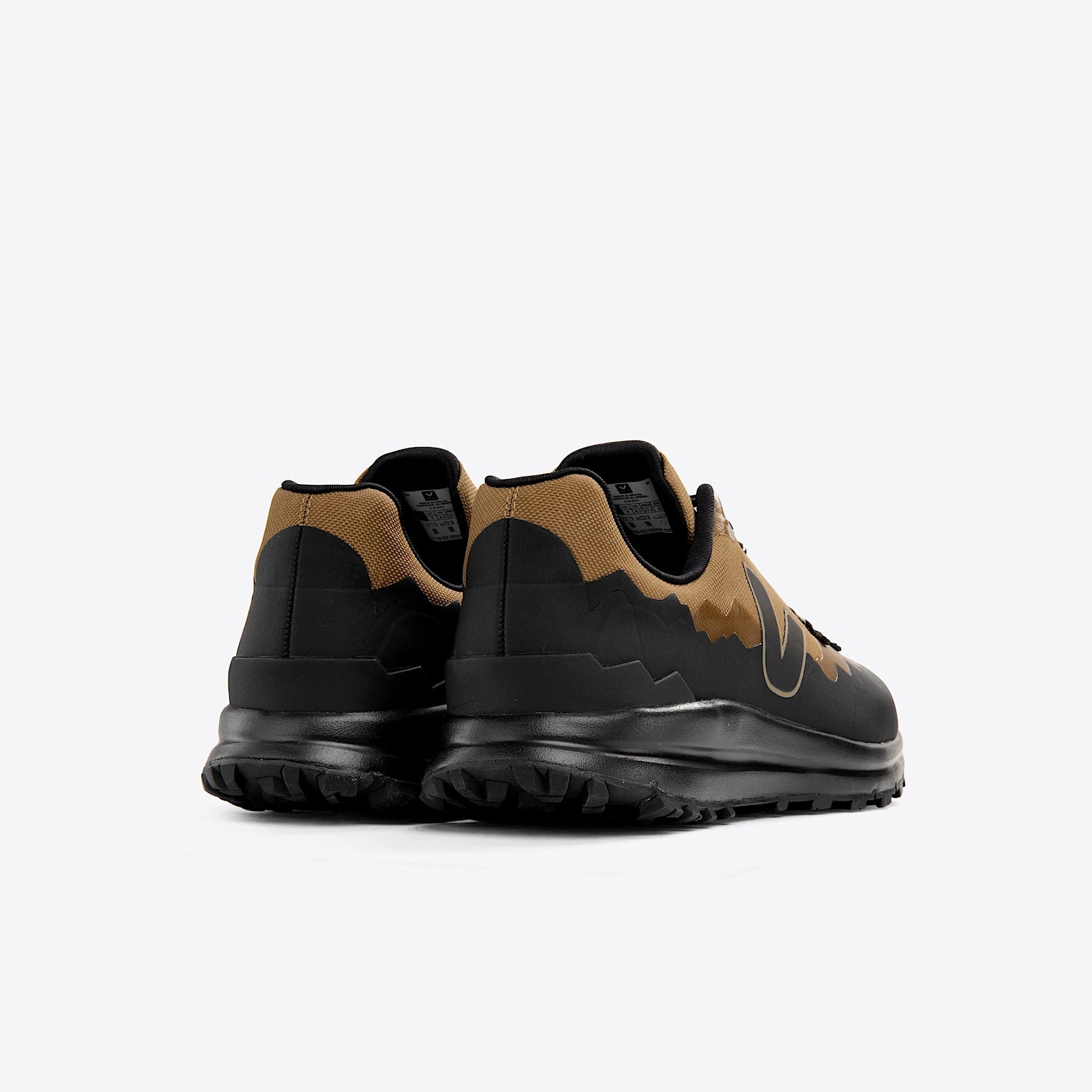 Men's Fitz Roy Hiking Shoes